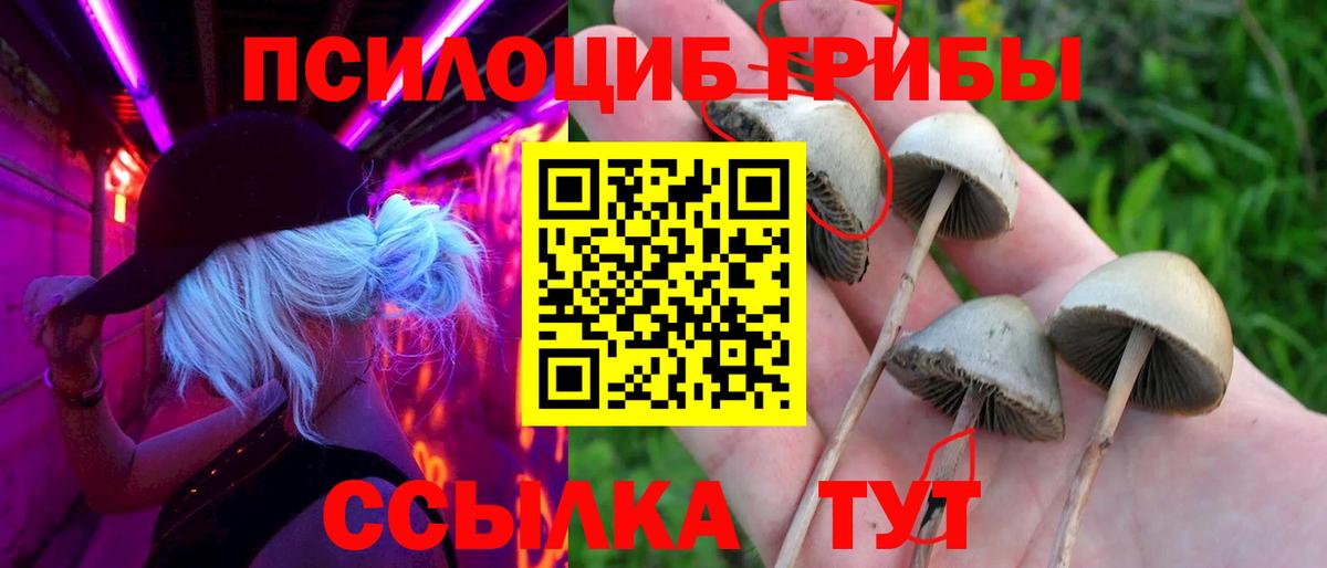 Галлюциногенные грибы Magic Shrooms  купить   Анапа  Галлюциногенные грибы мухоморы  Вход с VPN 